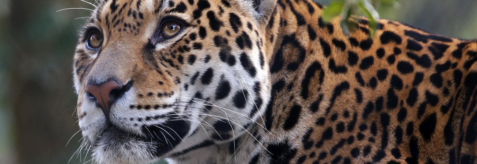 shutterstock_565611031