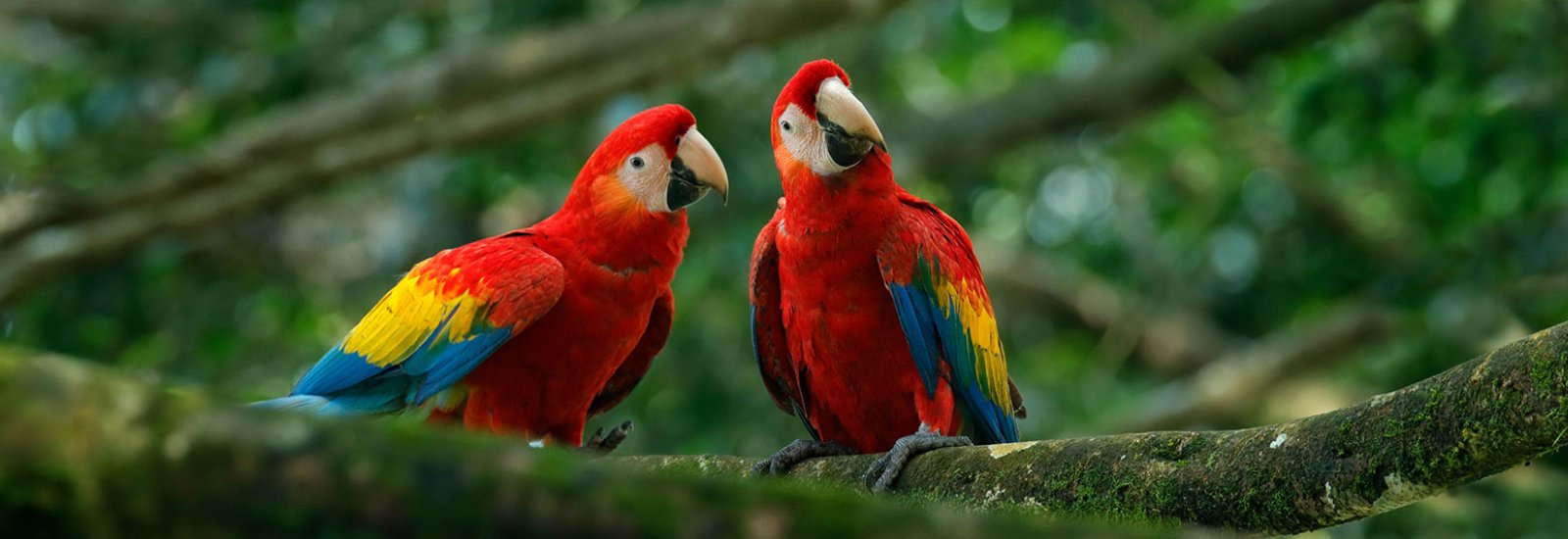 shutterstock_631165448