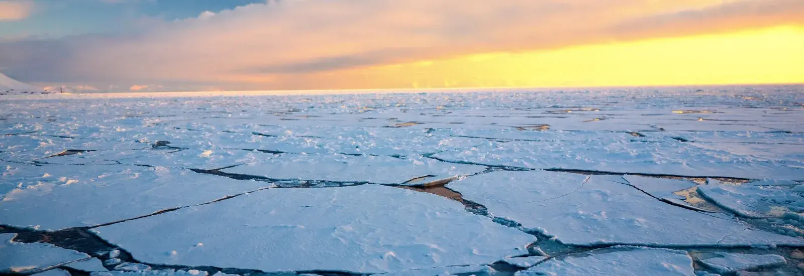 North Spitsbergen Explorer - Into the Pack Ice | Ortelius