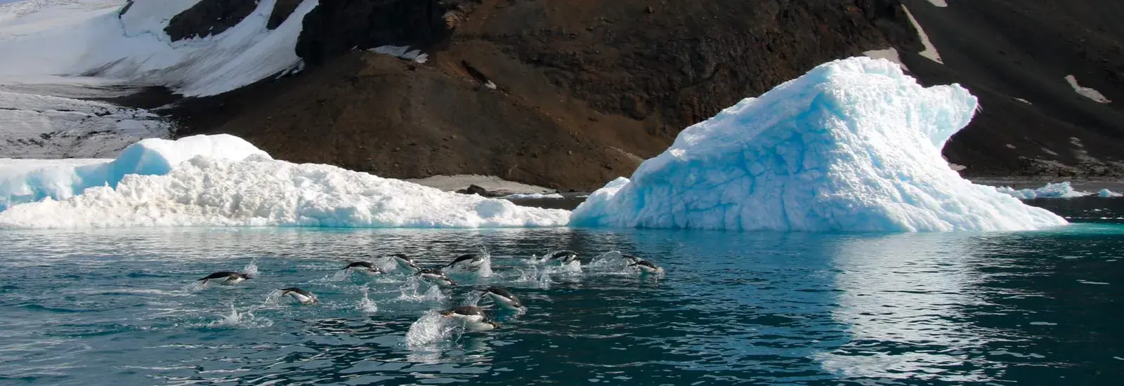 Antarctic Express: Fly South, Cruise North | Ocean Explorer