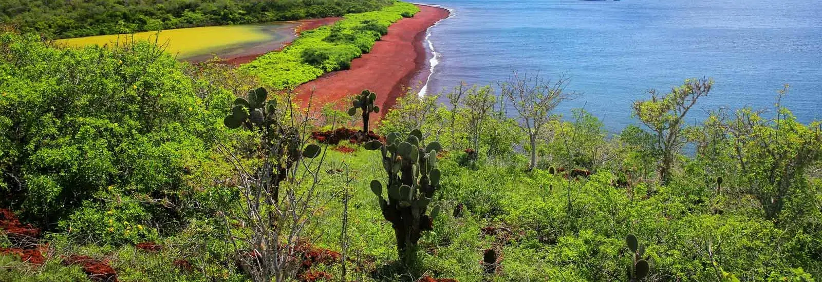 Central &amp; Eastern Galapagos Islands | Monserrat