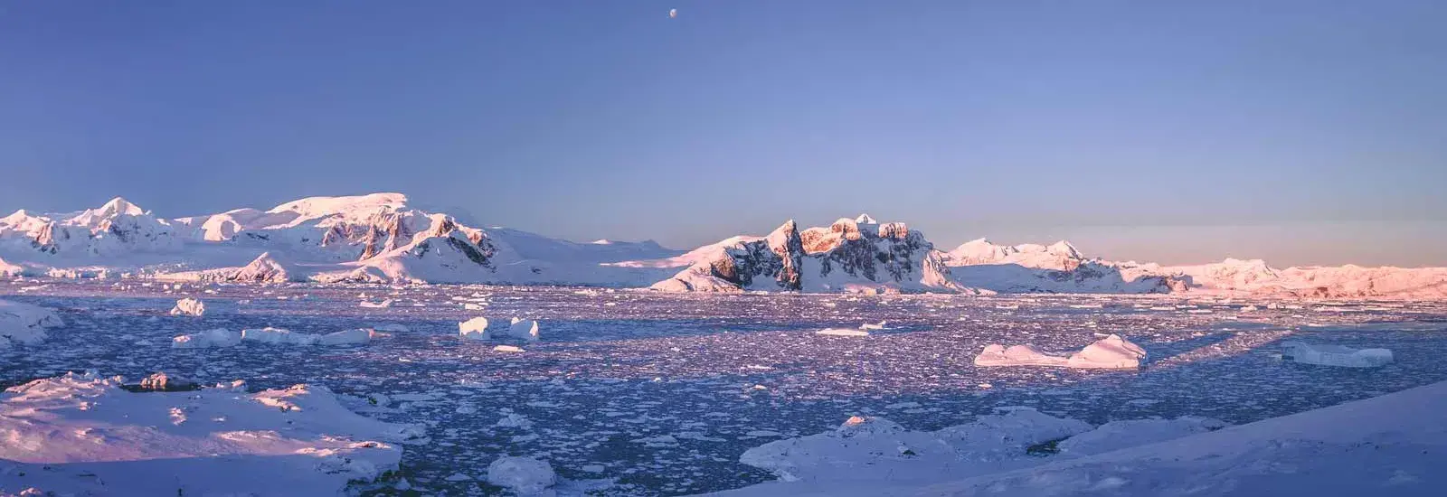 Emblematic Antarctica | Le Lyrial