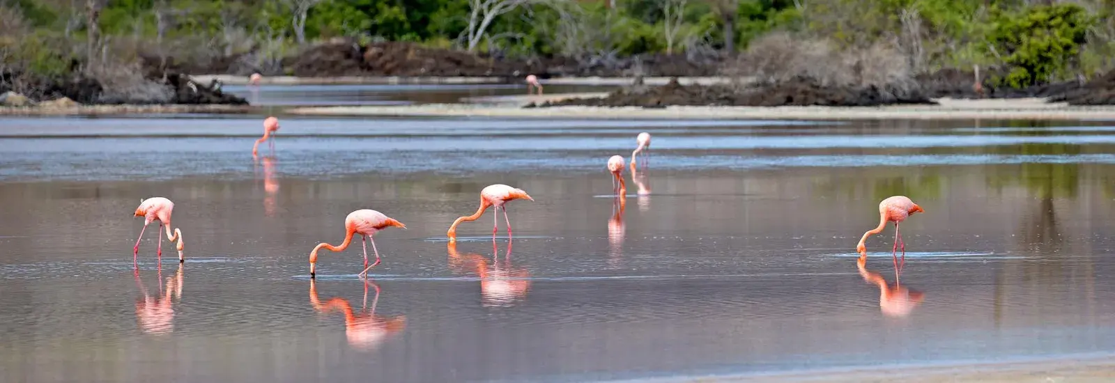 Galapagos South, Central &amp; West Islands Cruise | Seaman Journey