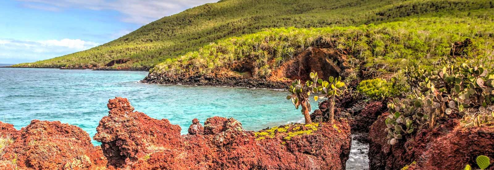 Extended Eastern Islands Cruise | Integrity