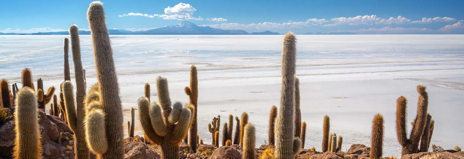 Signature Atacama Desert, Uyuni Salt Flats &amp; Salta