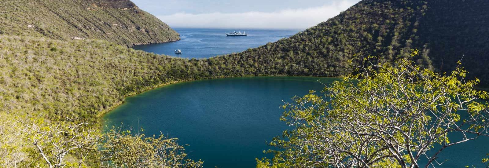 Northern &amp; Central Islands Galapagos Cruise (A) | Alya