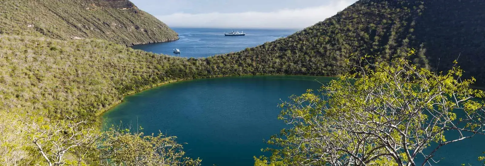 Northern &amp; Central Islands Galapagos Cruise (A) | Alya