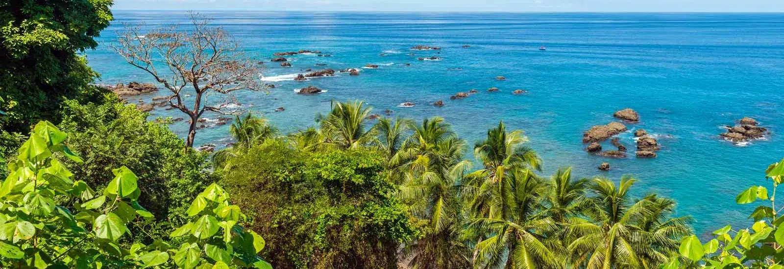 Corcovado National Park Extension