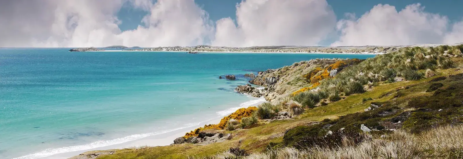 Scotia Arc: Antarctica, Falklands &amp; South Georgia | Venture