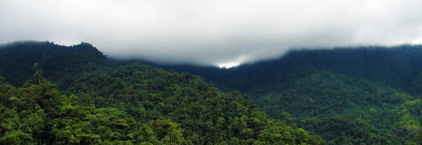 Bellavista Cloud Forest Lodge Extension