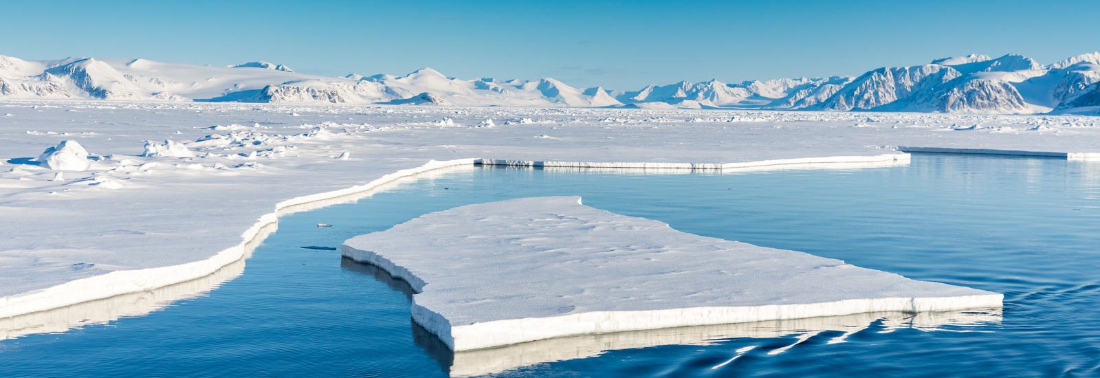 Svalbard Adventure | MS Quest