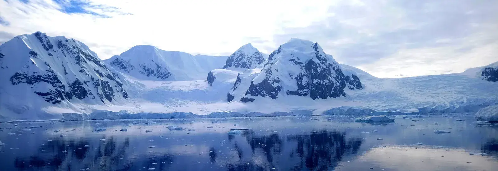 Antarctica: Through the Lens | Sylvia Earle