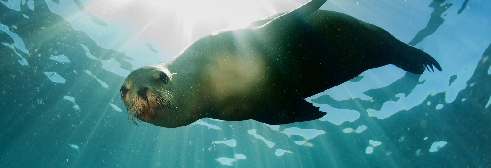 Northern Islands Cruise | Horizon Trimaran