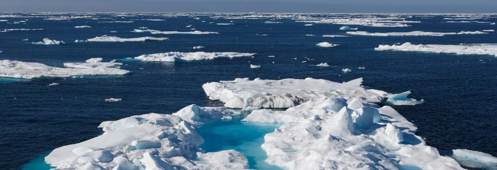 Into the Northwest Passage | Ocean Victory