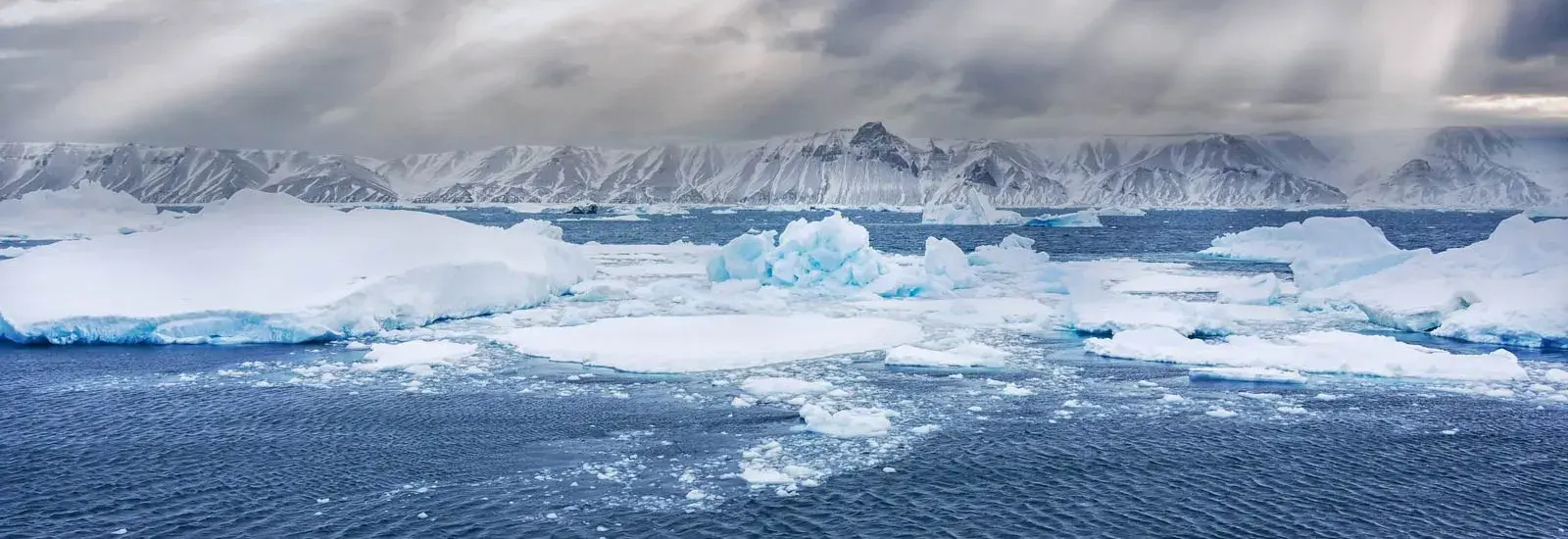 Weddell Sea Basecamp | Hondius