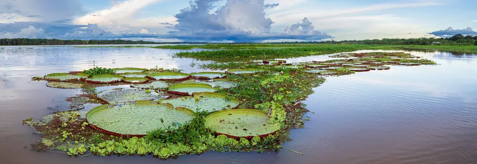 Peru Amazon Cruise 5 Days | Zafiro
