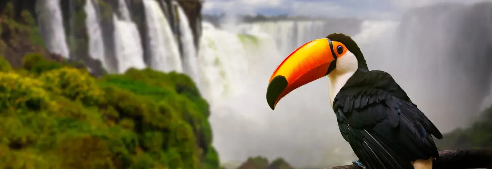 Signature South America - Lima to Santiago