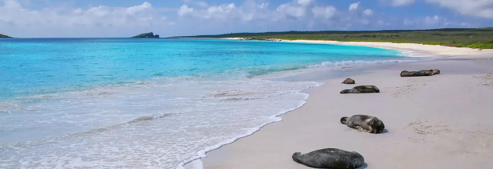 Galapagos Northern &amp; Eastern Islands 8 Days | Horizon Trimaran