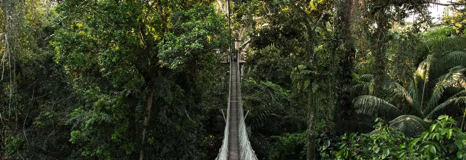 Peru Amazon Extension | Inkaterra Reserva Amazonica