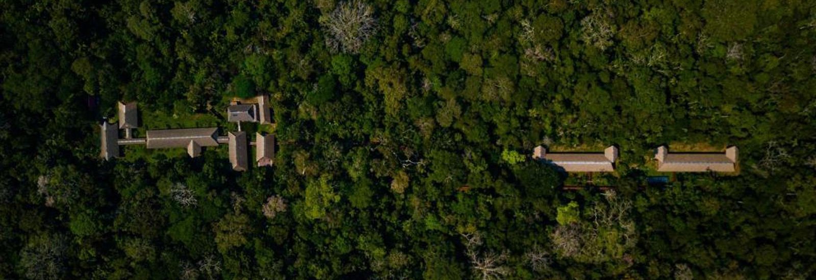 Peru Amazon Extension | Tambopata Research Centre