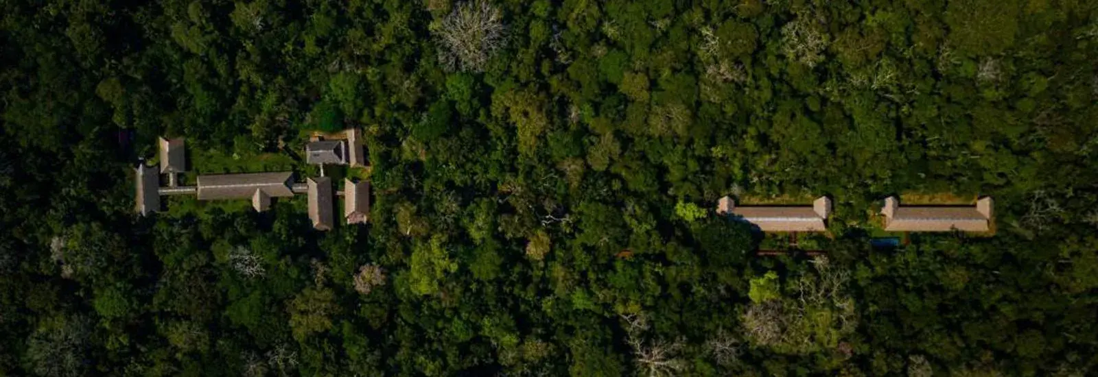 Peru Amazon Extension | Tambopata Research Centre