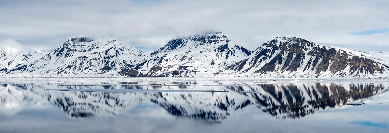 Realm of the Polar Bear | MS Expedition