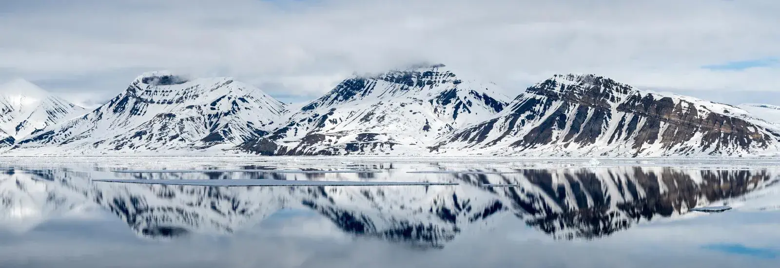 Realm of the Polar Bear | MS Expedition