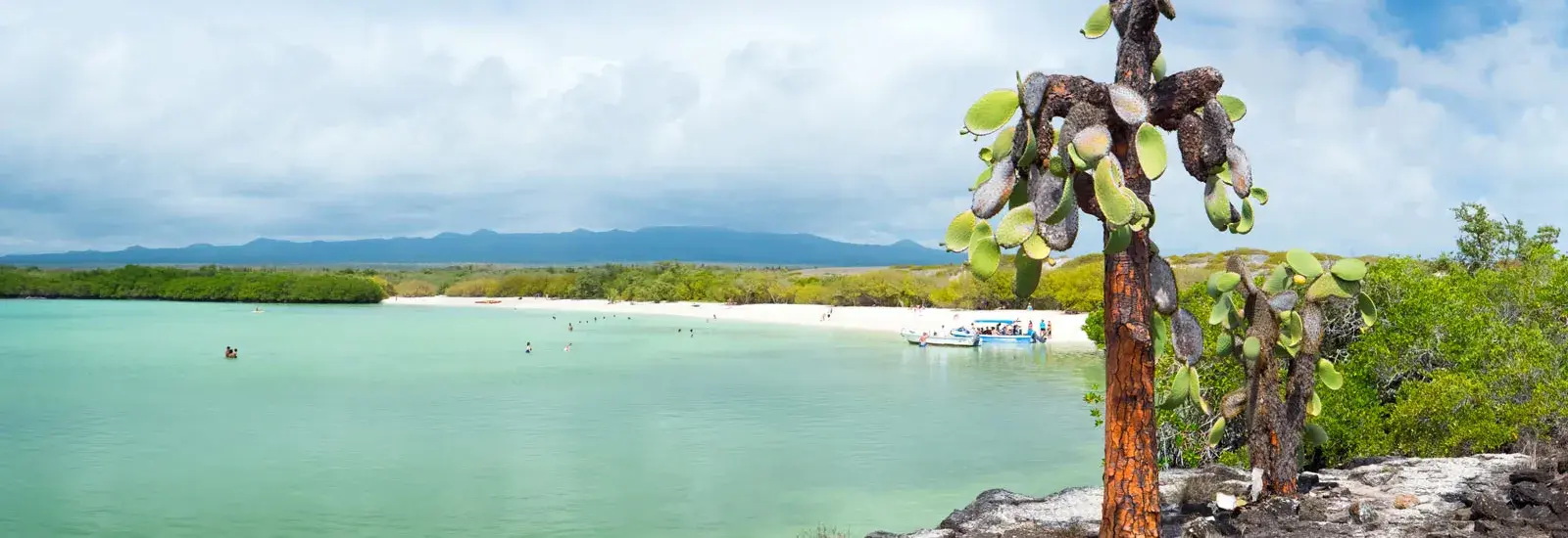 Galapagos Island Hopping - 4 Day