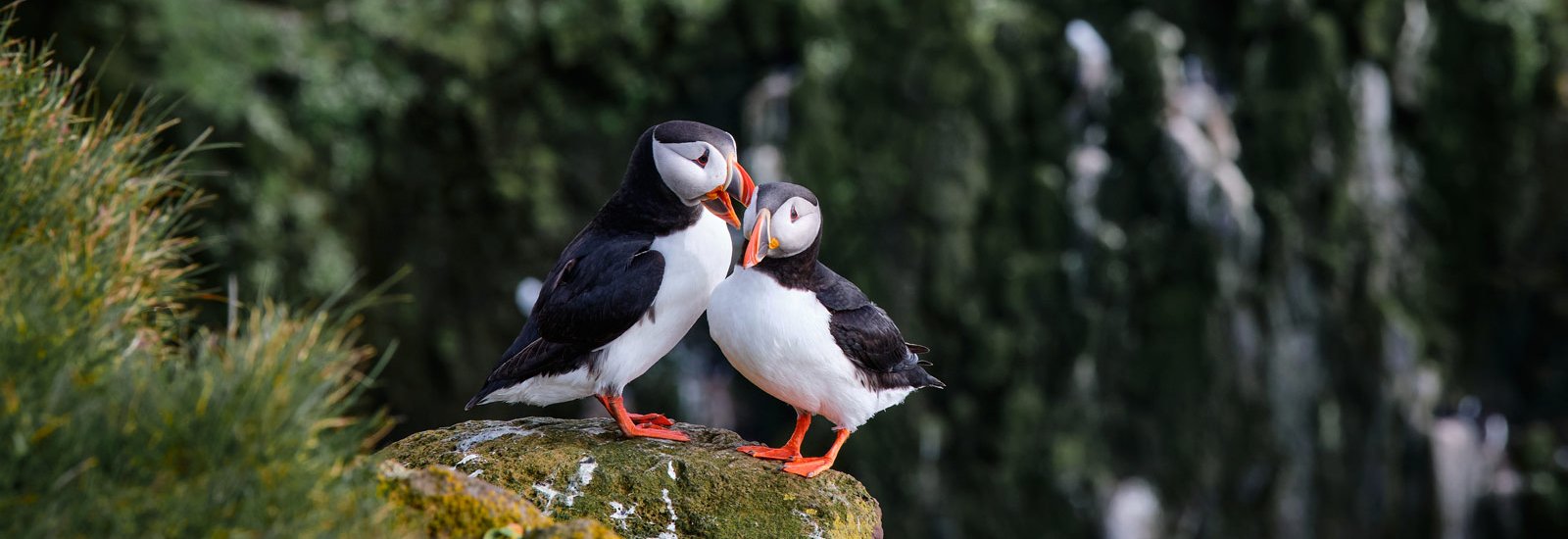 Iceland Circumnavigation: Helicopters, Glaciers and Volcanoes | Ultramarine