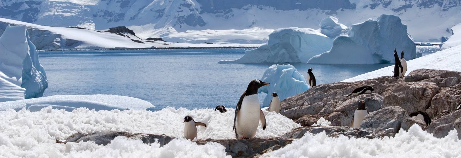 Crossing the Antarctic Circle | Ocean Victory