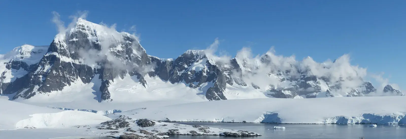 Antarctica's Whale Season | Ocean Albatros
