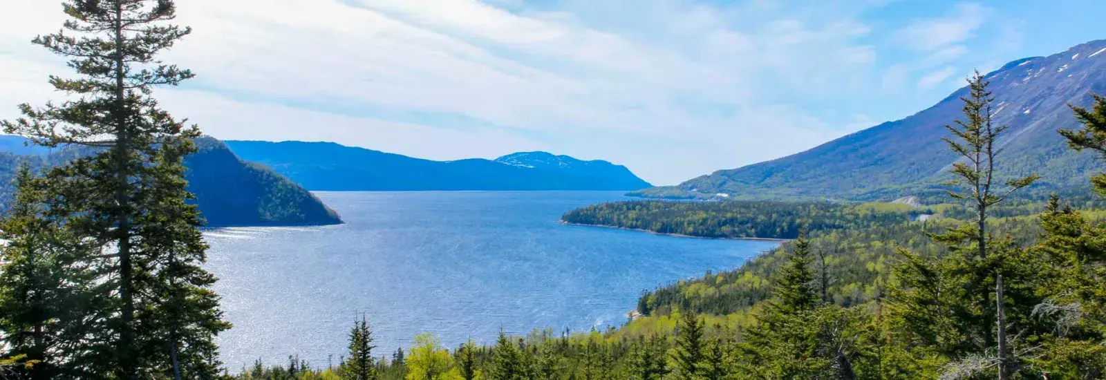 Across The North Atlantic: Iceland, Greenland &amp; Labrador |  MS Expedition