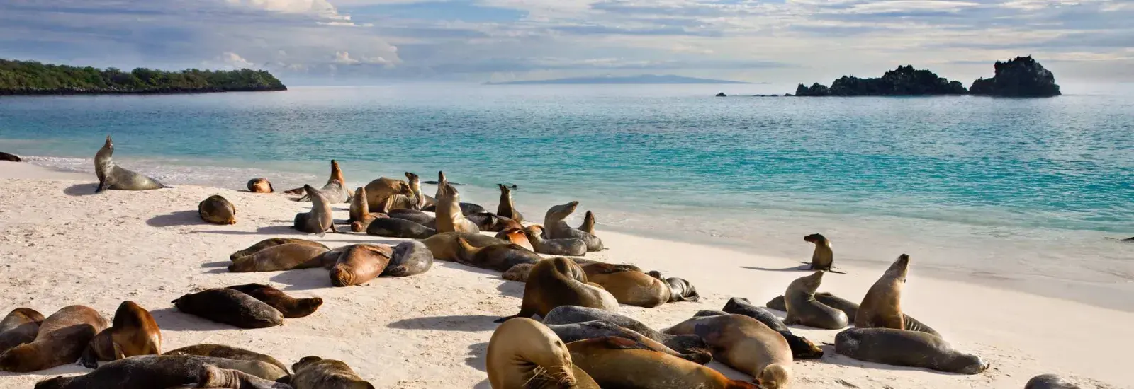 South Eastern Galapagos Islands Cruise A - 2026 | EcoGalaxy