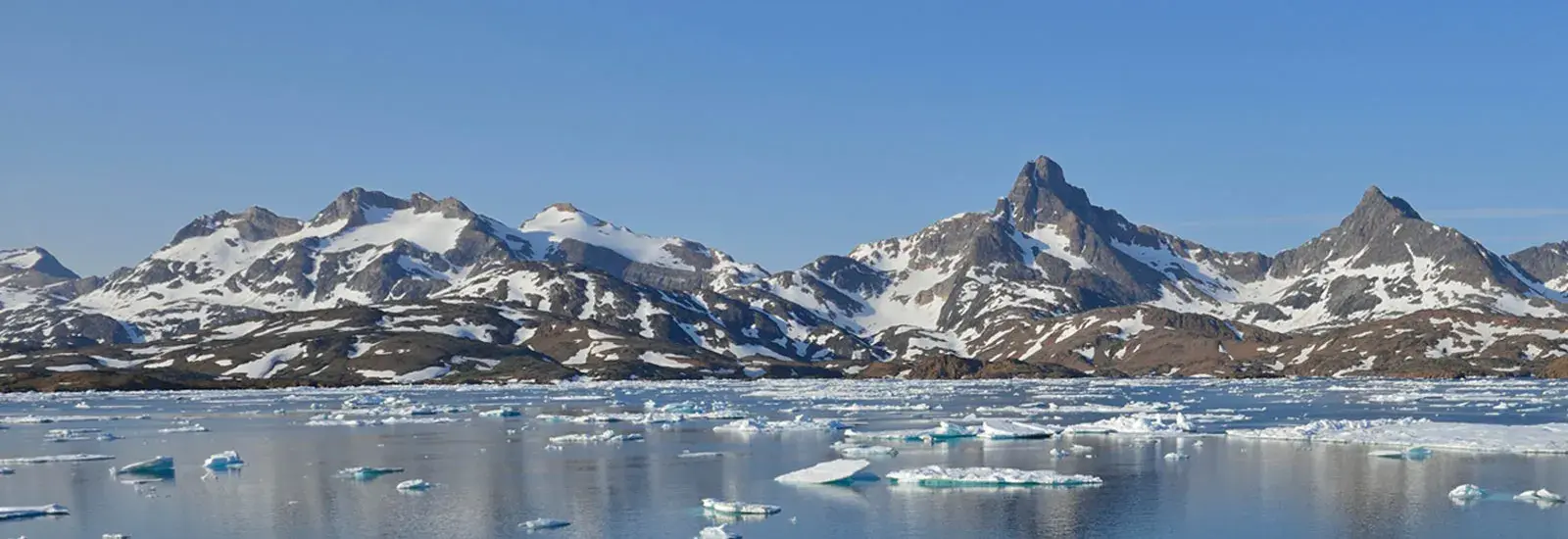 Complete East Greenland | Ocean Albatros