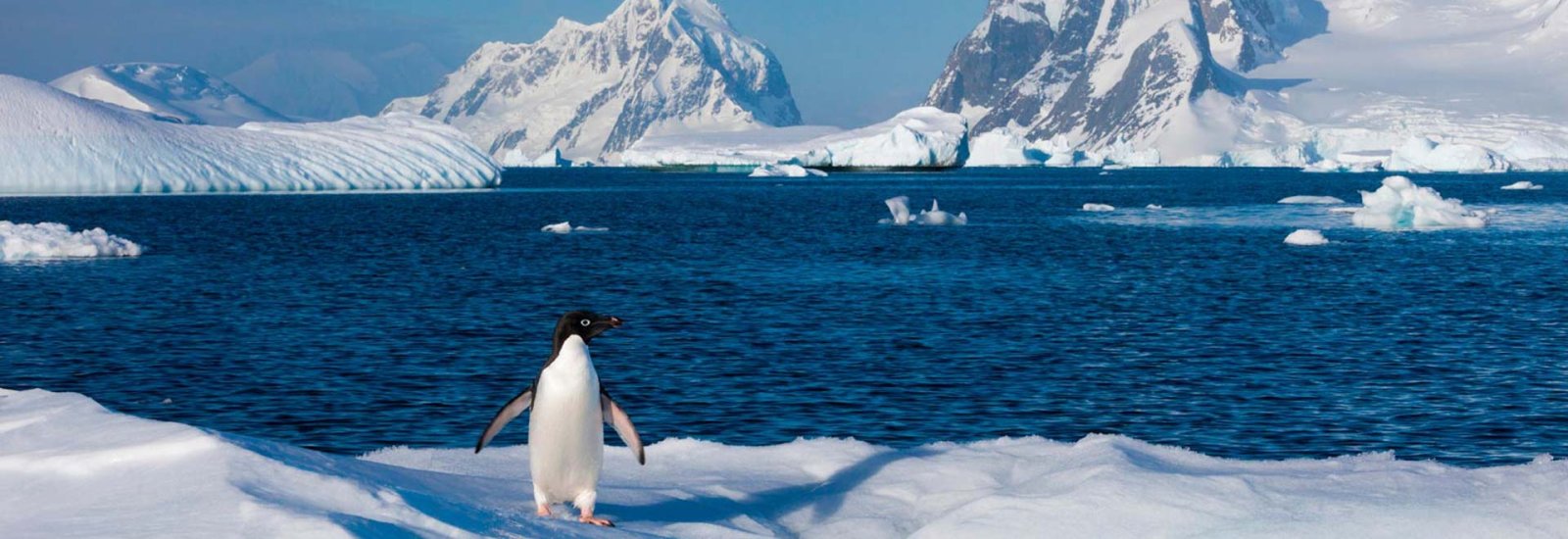 Spirit of Antarctica | Greg Mortimer