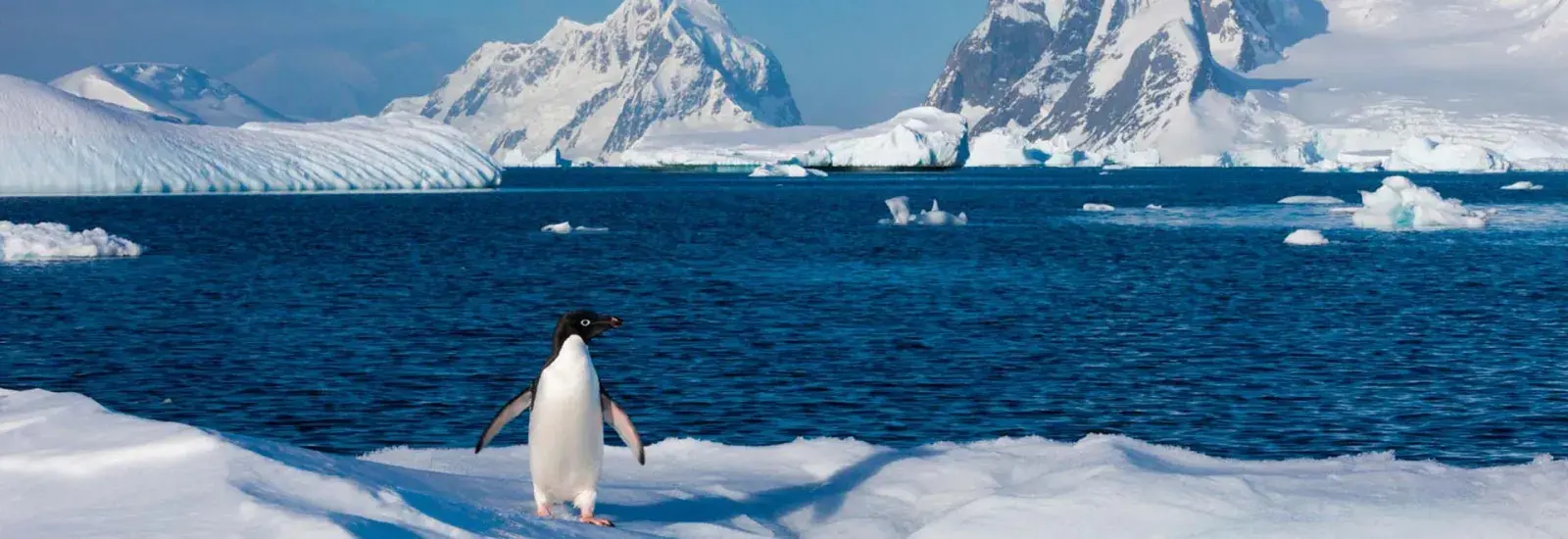 Spirit of Antarctica | Greg Mortimer