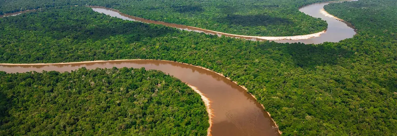 Ultimate Peruvian Amazon Expedition 8 Days | Amazon Explorer