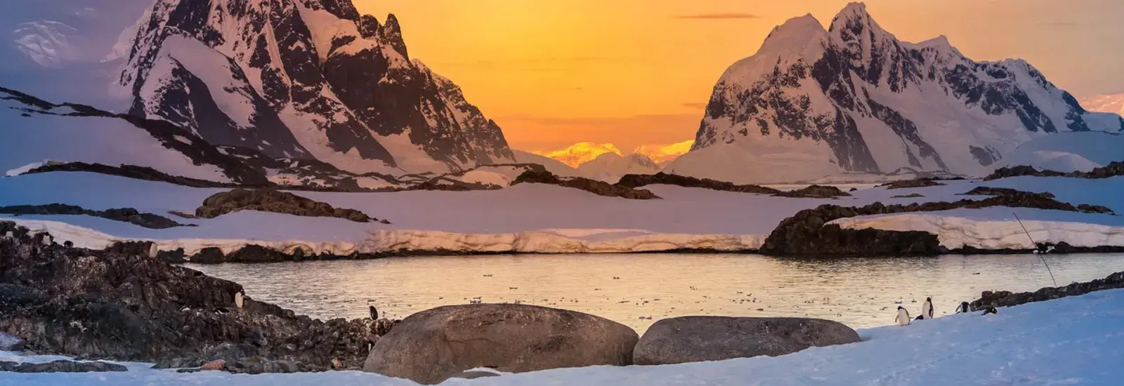 Antarctic Peninsula: An Explorer's Expedition | Ocean Albatros