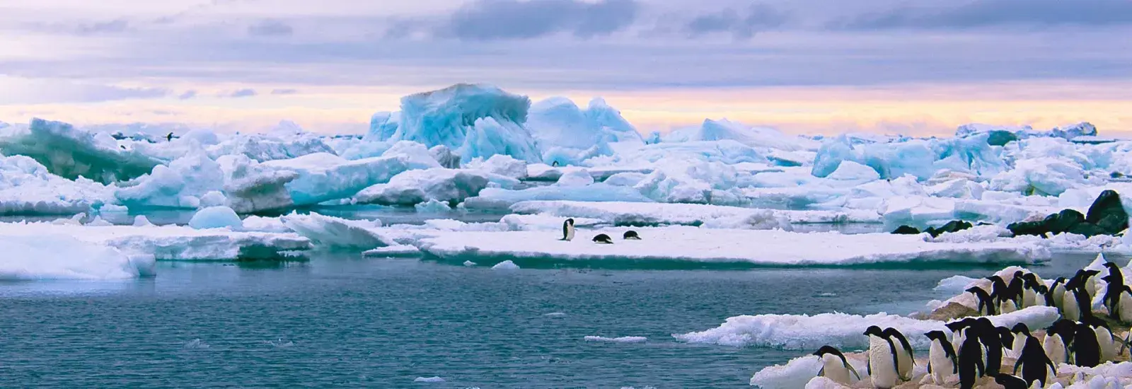 Complete Antarctica: Sail In, Fly Out | Ocean Nova