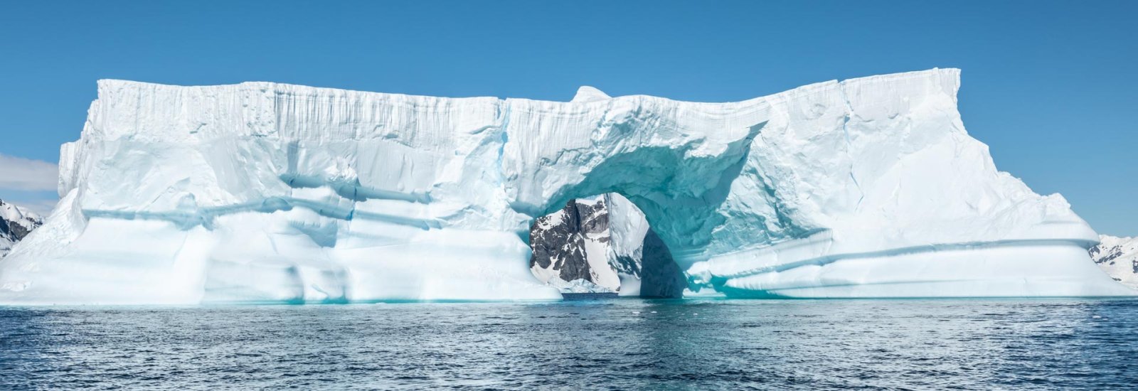 Wild Antarctica featuring the Weddell Sea | Douglas Mawson