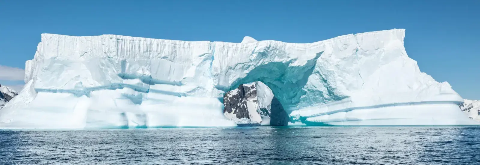 Wild Antarctica featuring the Weddell Sea | Douglas Mawson