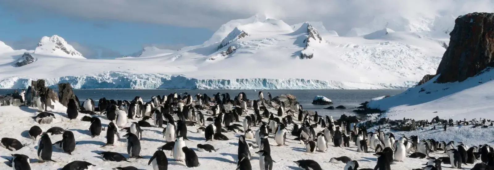 Antarctica - Discovery &amp; Learning | Ortelius