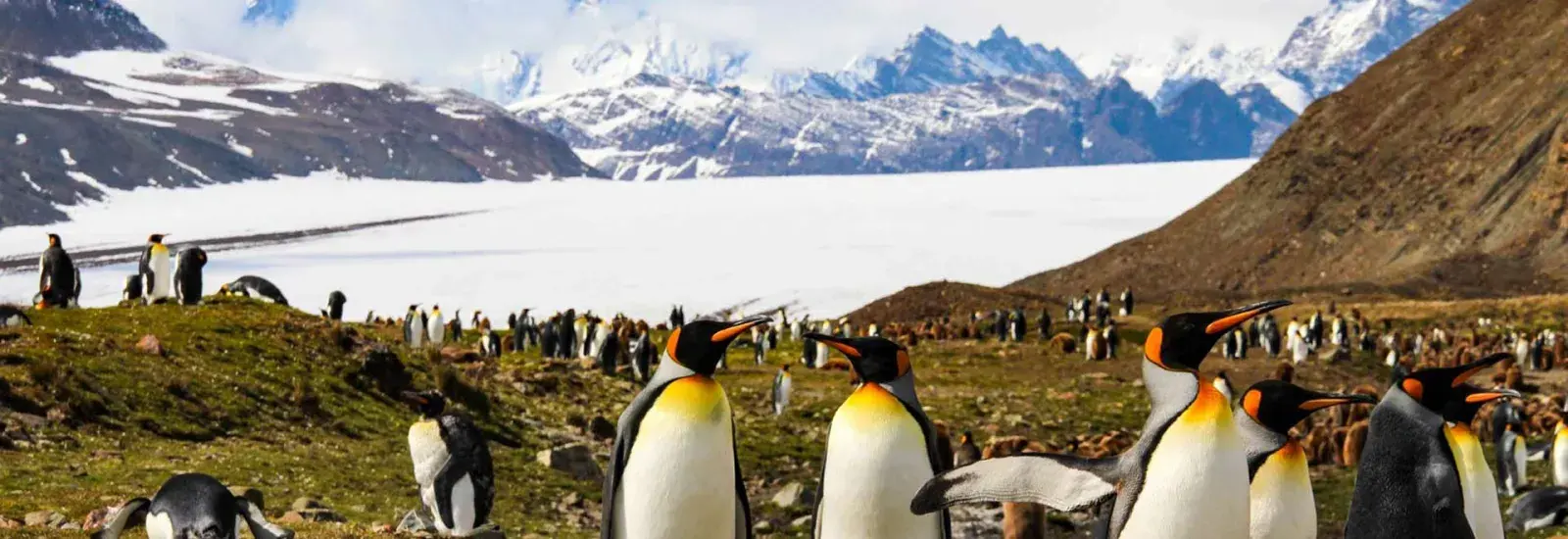 Expedition Antarctica: Highlights First Hand | Hanseatic Spirit