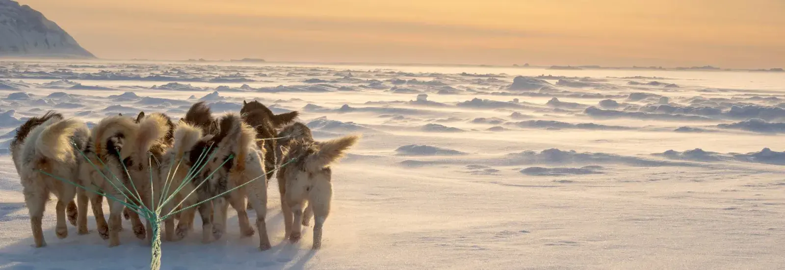 Encounter with the Last Guardians of the North Pole | Le Commandant Charcot