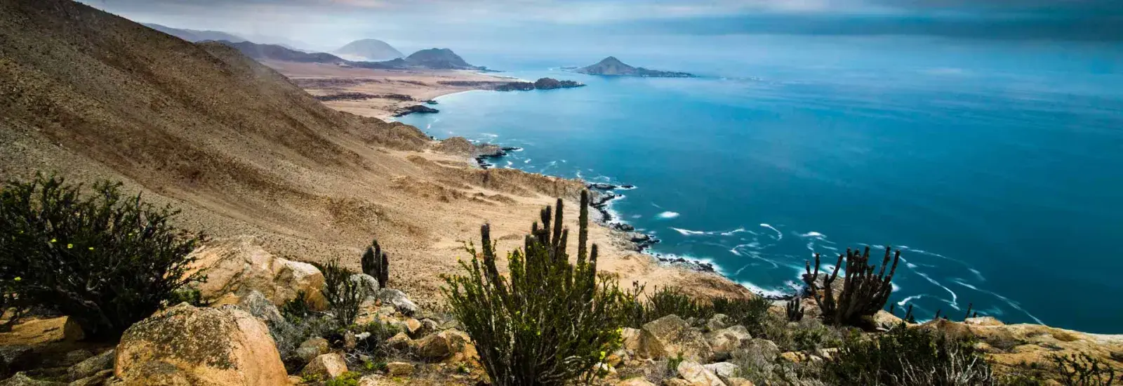Chile &amp; Peru: Voyage Through The Humboldt Current | Discoverer