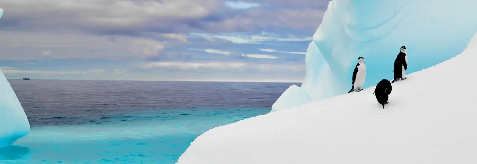 Crossing the Antarctic Circle | Discoverer Crossing the Antarctic Circle | Discoverer