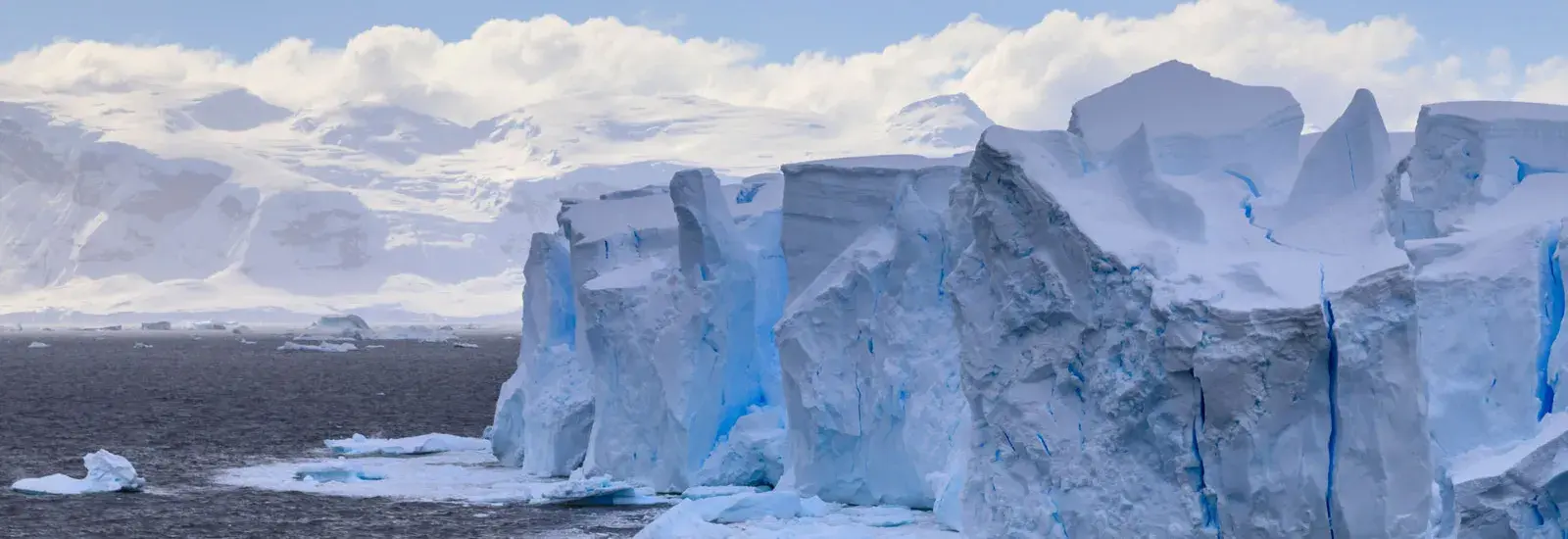 Weddell Sea Explorer 27/28 | Plancius