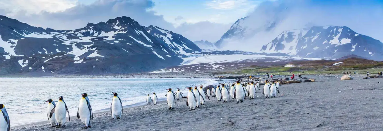 Falkland Islands &amp; South Georgia: 20 Day Wildlife Adventure | Ocean Explorer