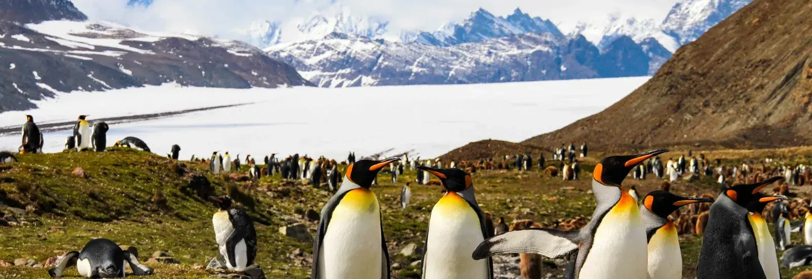 Expedition Antarctica: Highlights First Hand | Hanseatic Spirit Expedition Antarctica: Highlights First Hand | Hanseatic Spirit