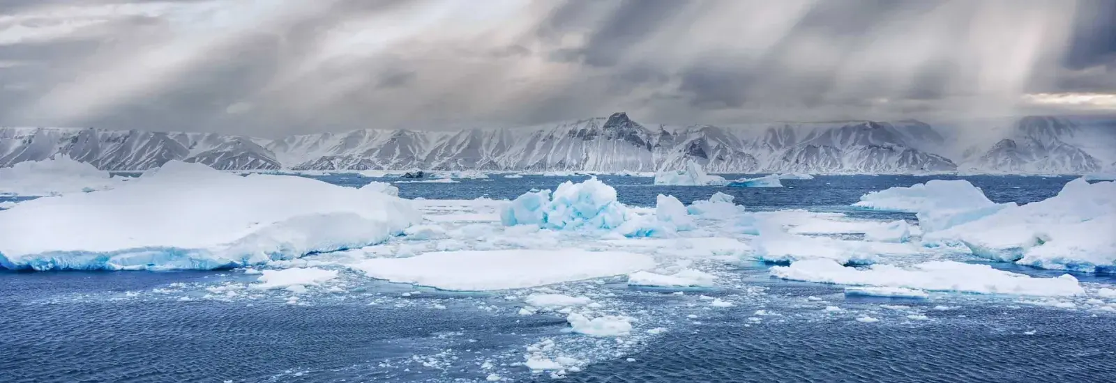 Expedition to Antarctica: Weddell Sea Cruise | SH Vega Expedition to Antarctica: Weddell Sea Cruise | SH Vega